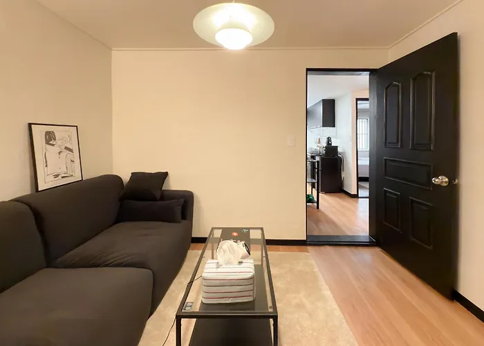 5min To Hapjeong St, Airport Bus Direct, River Park, Near Hongdae, 3rooms *