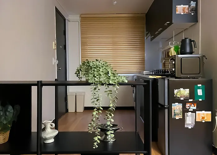 5min To Hapjeong St, Airport Bus Direct, River Park, Near Hongdae, 3rooms 別墅 *
